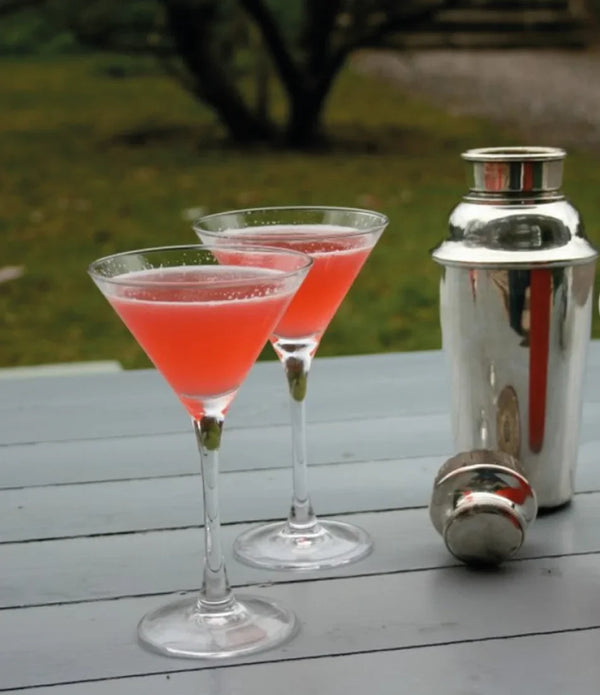 Rhubarb Martini