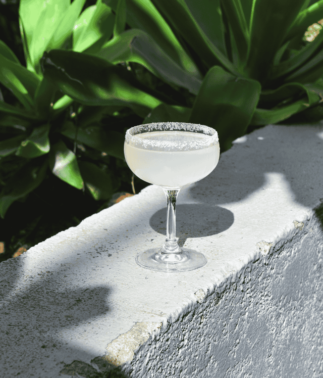 SŨ Margarita