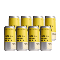 Libertine Blends Gin Citrus Smash 200ml